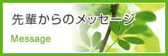先輩からのメッセージ